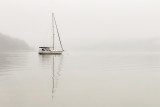 A Foggy Day