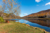 Down at the Beaver Pond