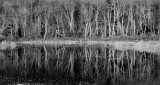 Landscapes and Water Scenes