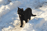 Oscar Snow 0209_ 89.jpg