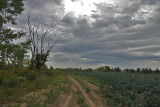 Paysages 9
