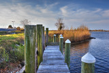 florida_gallery