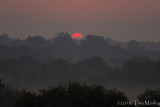Sunrise in the Sundarbans