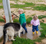 Puddle Fun