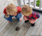We Found a Turtle!