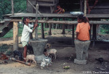 Pounding Rice, III