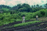 Santa Barbara Countryside