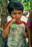 Eating Radishes