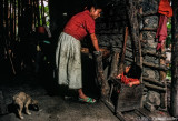 61953_05311-Edit.jpg