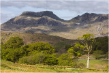 cwmbowydd2.jpg