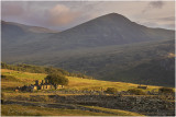 Capel Curig quarry cottages