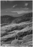 From the path up to Cnicht