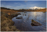 Snowdon from Llyn Cwmffynnon