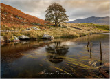 Llyn Dywarchen