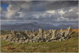 Bryn Cader Faner