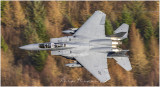 F15-flagjpg.jpg