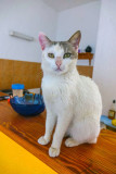 Council looking innocent - who me?