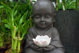 the little kid Buddha with bamboo and white lotus