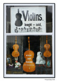 The Violin Shop