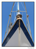 The Bow