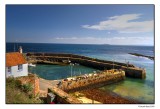 Crail Harbour