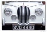 1968 Jag