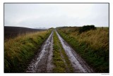 Farm Road