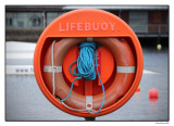 Orange Lifebuoy