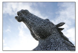 Kelpie's Head