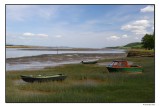 Tay Reed Beds