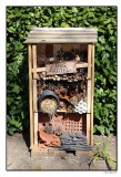 Bug Hotel