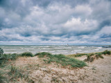 _A210858.jpg