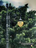 St-Pete-Street-Lamp-Piel-06-03-17.web.jpg