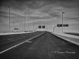 covid_19_tampa_intl_airport