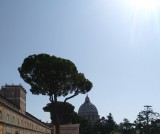 St. Peters Dome by Michelangelo is 430 feet from the floor of the cathedral to the top of the lantern