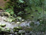 Tollymore Forest