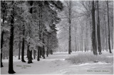 K418527 Germany-1954.jpg