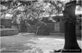 K418280 Molzen-1954.jpg