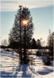 K416176Bobcaygeon.jpg