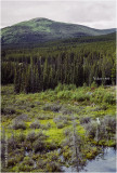 K417512Yukon1983.jpg