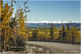 K417513Yukon1983.jpg