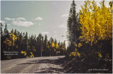 K417516Yukon1983.jpg
