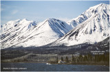 K418024Yukon_1988.jpg
