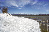 K418030Yukon_1988.jpg