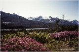 K418118Yukon_1984.jpg