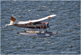 IMP3456.jpg