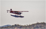 IMP3501.jpg