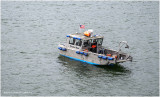 KP17013.jpg