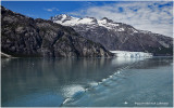 IMG_0785photoalt.jpg