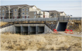 DSC4565-Airdrie.jpg